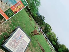 -奈良公园