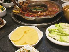 -一斗火锅·招财羊毛肚(北温泉九号店)