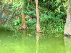 -水濂山森林公园