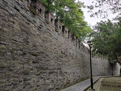 -桂湖森林公园