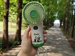 -上海滨江森林公园