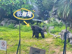 -南宁市动物园