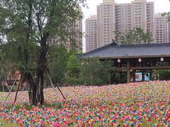-广州融创文旅城