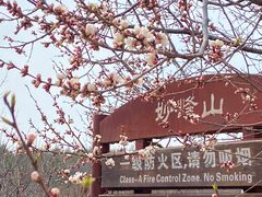 -妙峰山风景名胜区