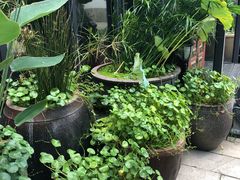-新悦·霞浦海鲜生(上下杭店)