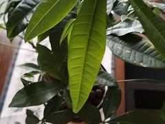 -阿伟海鲜楼·福建菜(涵江店)