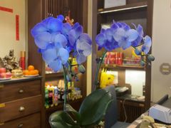 -煜丰汴京烤鸭(福彩路店)