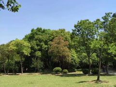 -上海共青森林公园