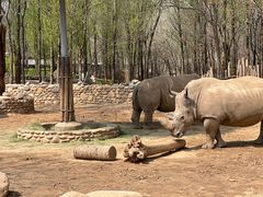 -北京野生动物园