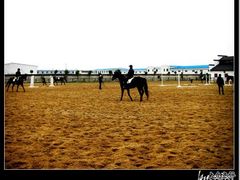 -松声马术俱乐部