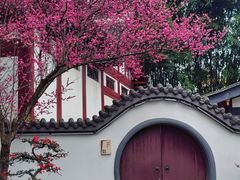 -成都杜甫草堂博物馆