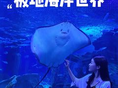 -多彩贵州城极地海洋世界