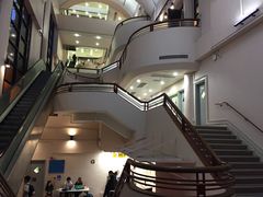 -香港大学