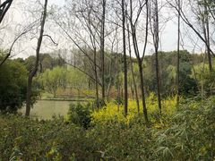 -新江湾城公园