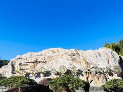 -北京西山国家森林公园