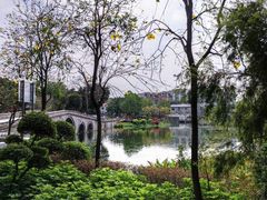 -荔湾湖公园