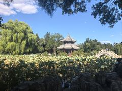 -莲池书院博物馆
