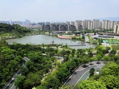 -飞凤山奥体公园