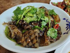 -一楼食业·美食人家