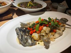龙胆石斑鱼-宴南庭·闽味私房菜