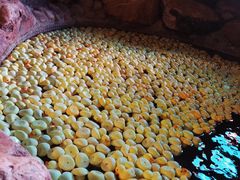 -崇阳三特浪口温泉