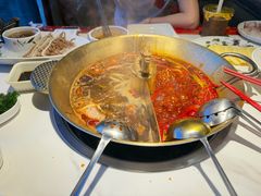 -小龙翻大江文化火锅(宽窄店)