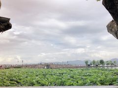 -慧娟面馆·餐厅(望江路店)