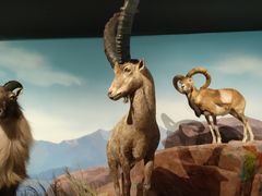 -陕西自然博物馆