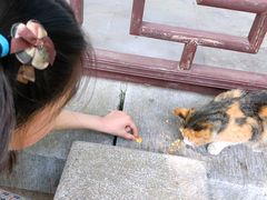 -雨花胜境