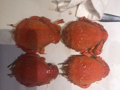 -星伦多自助料理(华润万象城店)