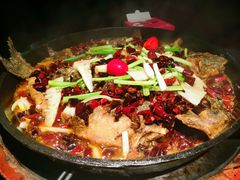 -老板恋上鱼(高新万达店)