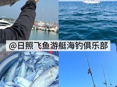 -日照海滨国家森林公园