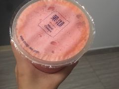 -茉沏(尹山湖歌林公园店)