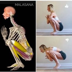 -U+YOGA优伽瑜伽·普拉提