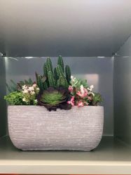 -新蝶变皮肤管理中心