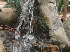 -北戴河集发农业梦想王国
