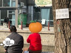 -元大都城垣遗址公园