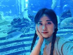 -亚特兰蒂斯•OSSIANO奥西亚诺海底餐厅