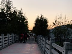 -柳鹭田园区