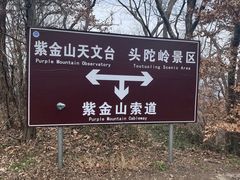 -紫金山山顶公园