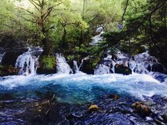 -九寨沟-树正沟