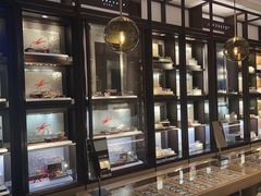 -溥仪眼镜(北京SKP店)
