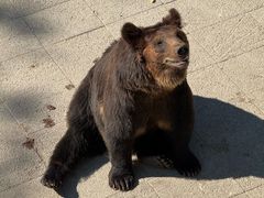 -大连森林动物园