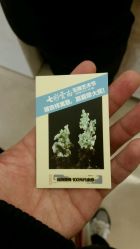 -北京七彩云南翡翠珠宝旗舰店(月坛店)