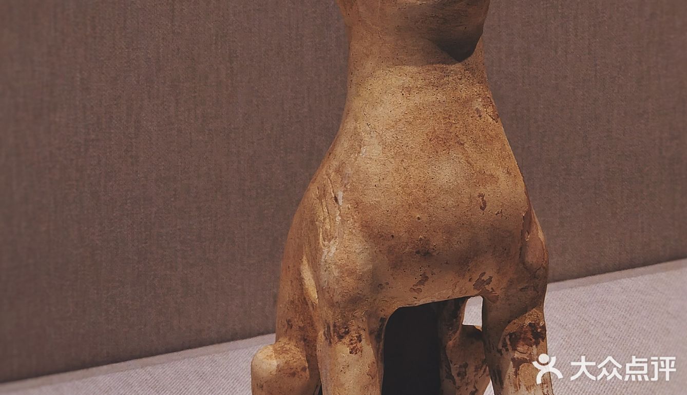 深圳游玩｜游人少且好逛的深圳古代艺术馆