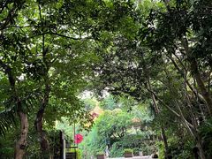 -深圳仙湖植物园