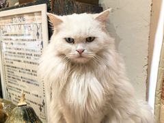 -小时光咖啡馆(开森度假森林店)