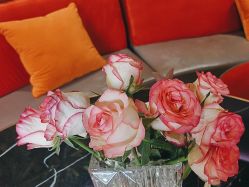 -花隐·美芙炫海菲秀皮肤管理中心