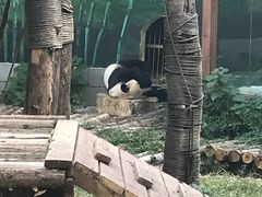 -南昌动物园
