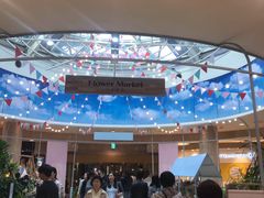 -乐天免税店(明洞店)